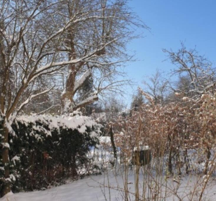 Hohbuch Mit Achalmblick Apartment *
